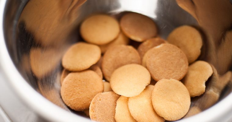 NO BAKE VANILLA WAFER CHEESECAKE CRUST
